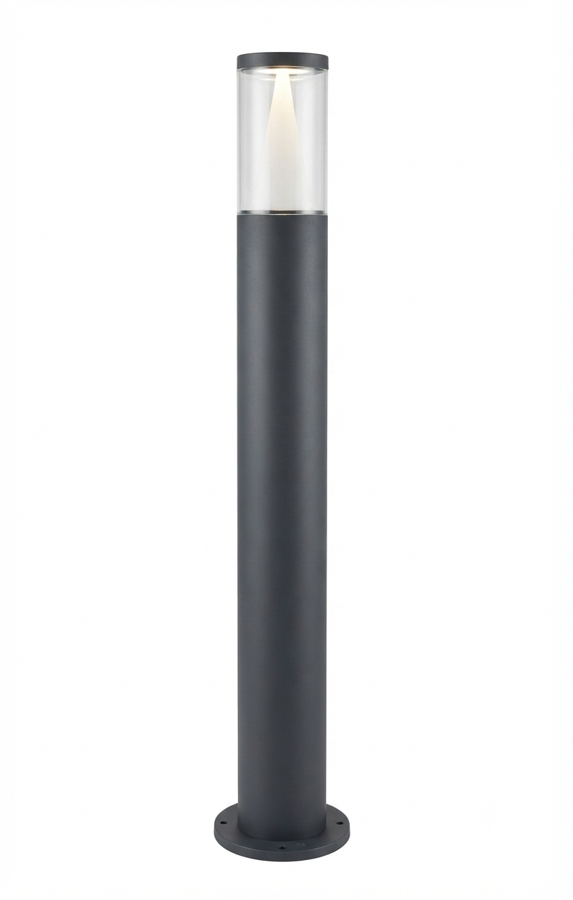 Camera Signal Pole